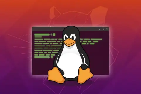 Comandos Básicos do Linux: Guia Passo a Passo para Quem Nunca Usou o Terminal