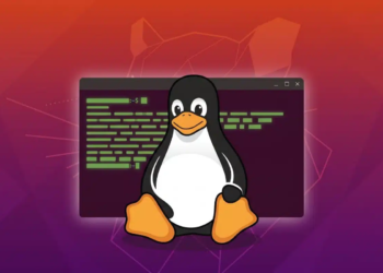 Comandos Básicos do Linux: Guia Passo a Passo para Quem Nunca Usou o Terminal