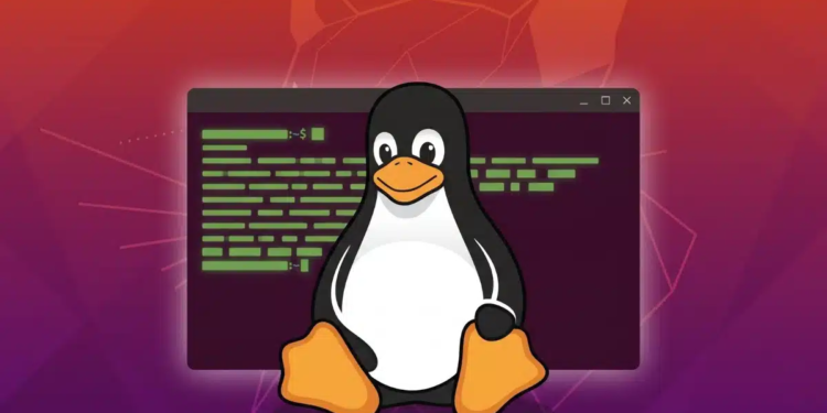 Comandos Básicos do Linux: Guia Passo a Passo para Quem Nunca Usou o Terminal