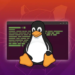 Comandos Básicos do Linux: Guia Passo a Passo para Quem Nunca Usou o Terminal