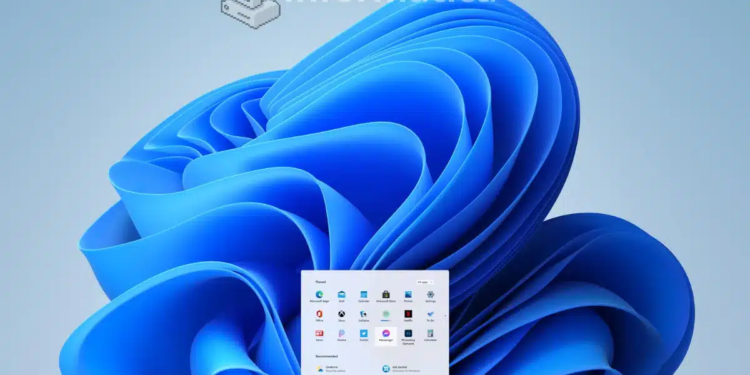windows 10 e 11